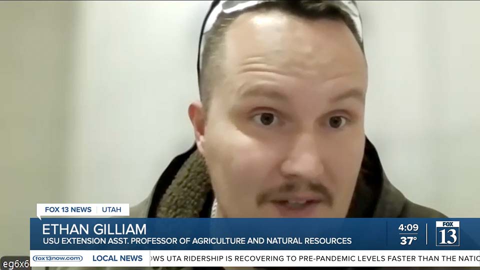 Like most Utahns, local family bake sale feels price pain of egg shortage