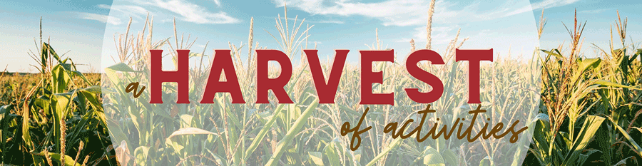 Harvest of Activities