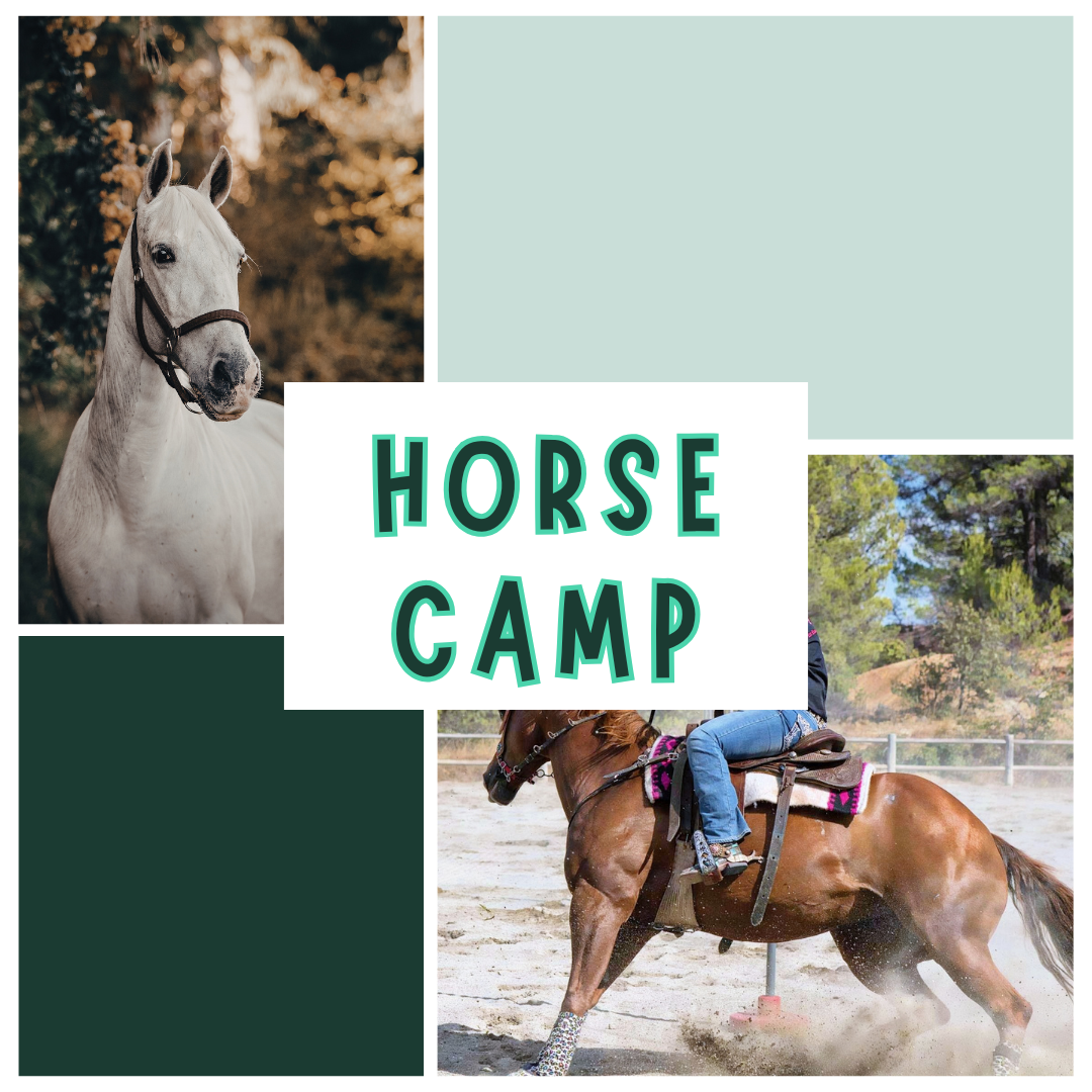 Horse Camp