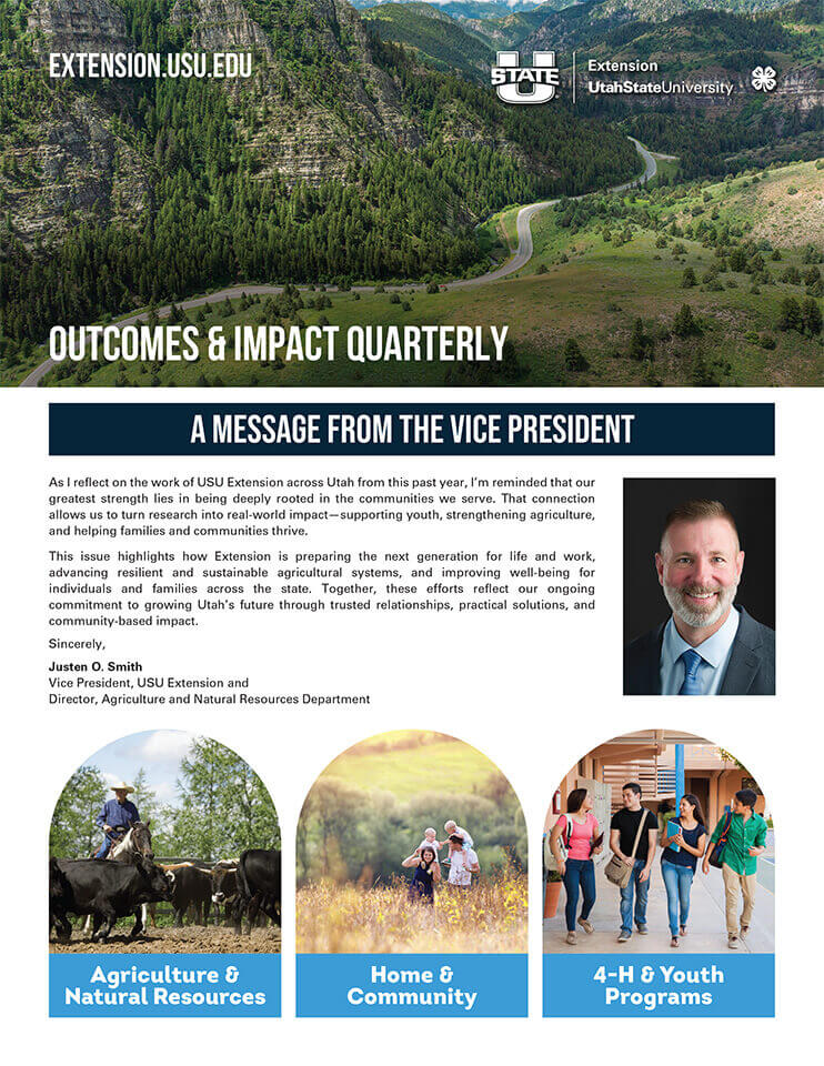 Impact report cover