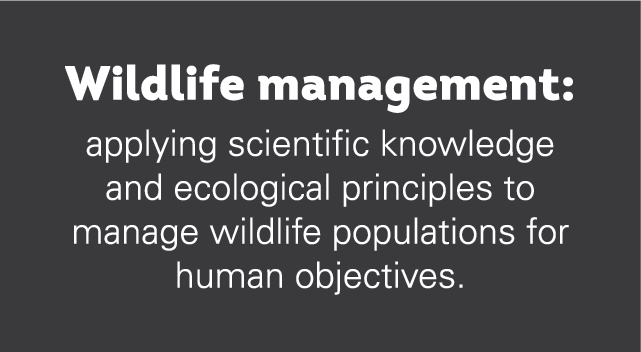 Wildlife Management definition 