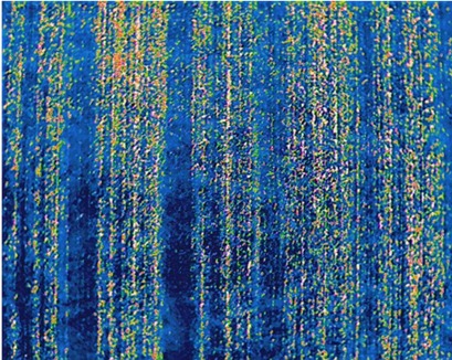 Alfalfa field irrigated with subsurface drip irrigation