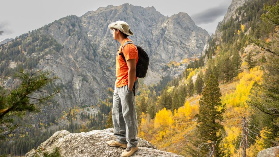 A man standig on a rock looking out into the mountains with fall colors.