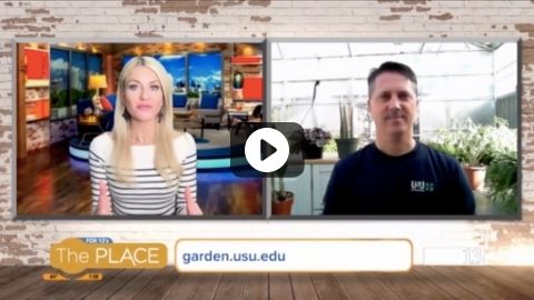 More People Are Trying Their Hands at Indoor Gardening, but Is Your Thumb Green?