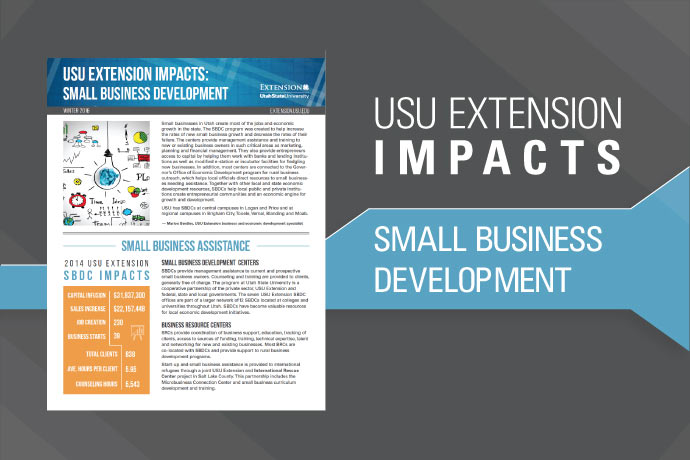 Small Business Development Impacts