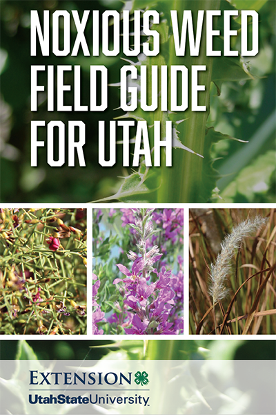 Noxious Weed Field Guide for Utah