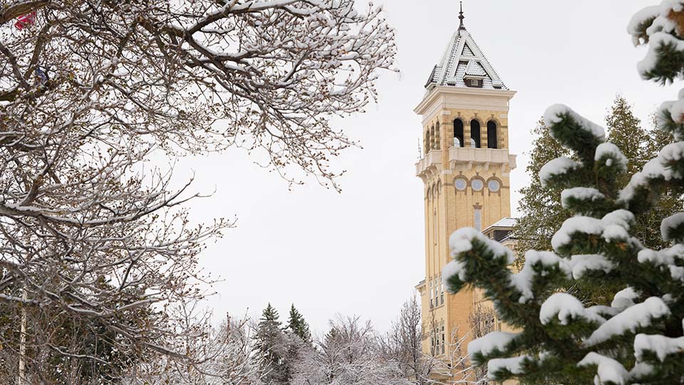 Snow on tree limbs and on Old Main Tower