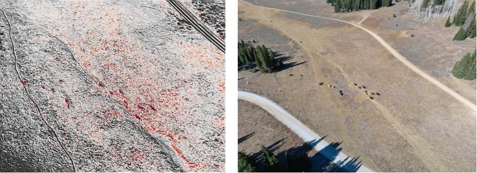 Thermal camera in an open area