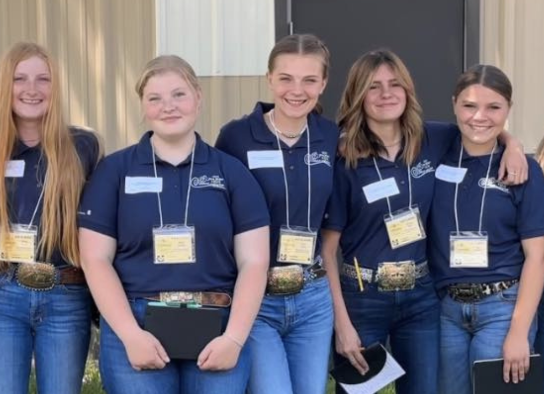 Livestock Judging Team