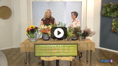 Grow Your Own Bouquet! You Can Plant a Cutting Garden With This Expert Advice