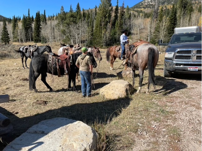 Side by side on mountain