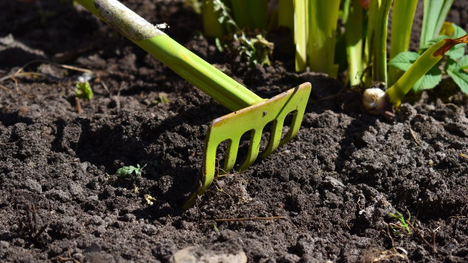 Ask an Expert – Gardening Counts as Exercise: Protect Your Body While You Work