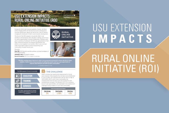 rural online initiative impacts