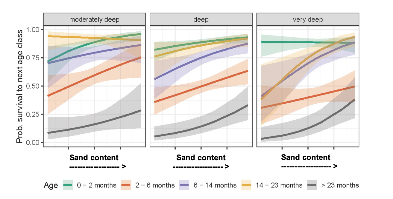 sand content graph