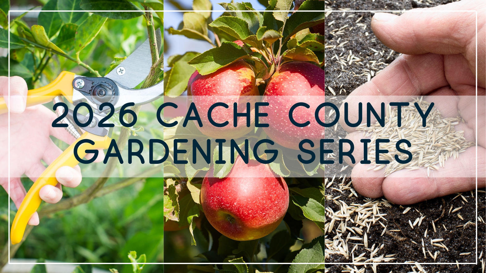 2026 Spring Garden Series