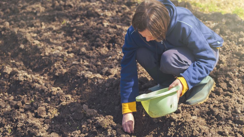 A women with a bucket placing seeds in soil