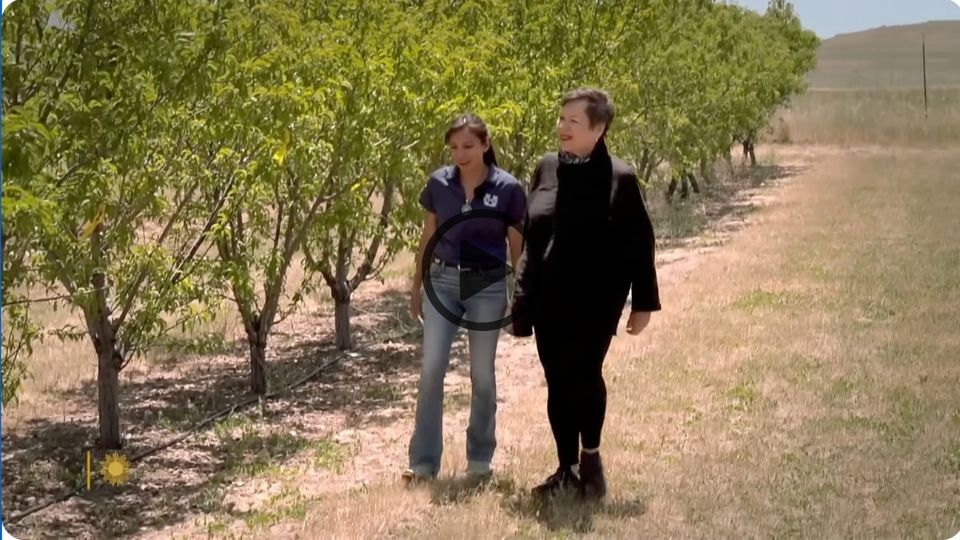 Taking root: The passion of tree lovers