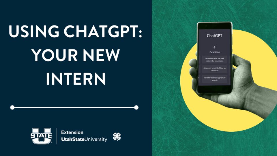 Using Chat GPT: Your New Intern