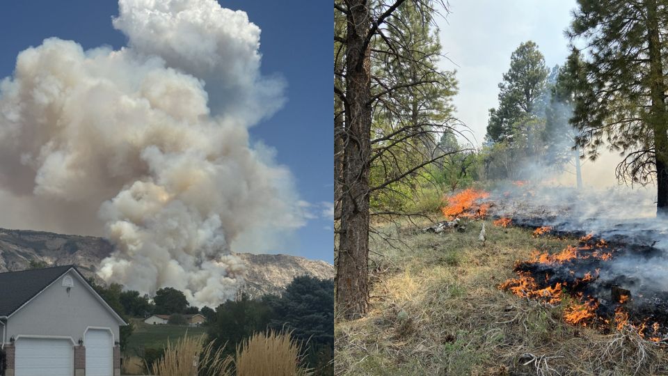One image of smoke rising from the mountains and another of a view of a fire in trees.