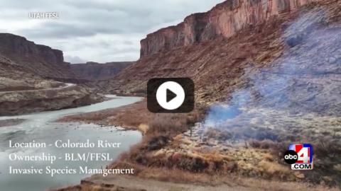 May Is National Wildfire Awareness Month -- Here’s What You Need to Know