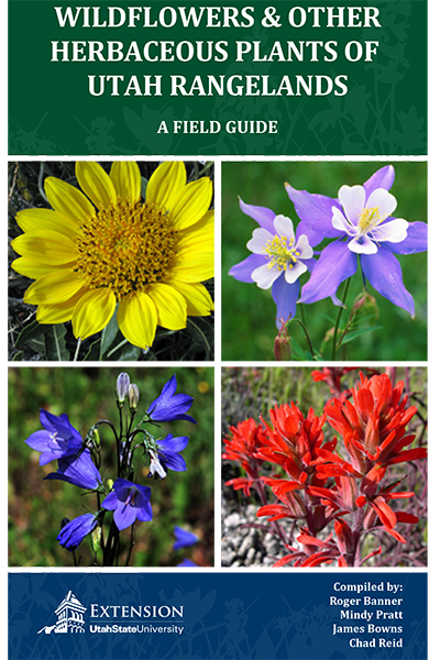 Wildflowers & Other Herbaceous Plants of Utah Rangelands Guide