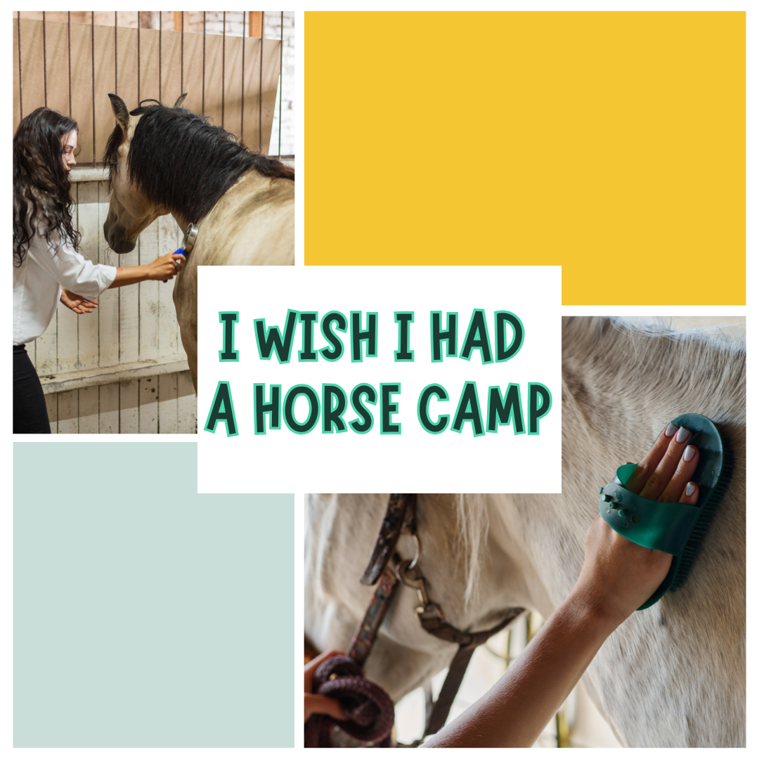 I wish I had a horse