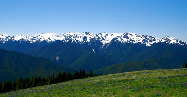 Hurrican Ridge Daytime