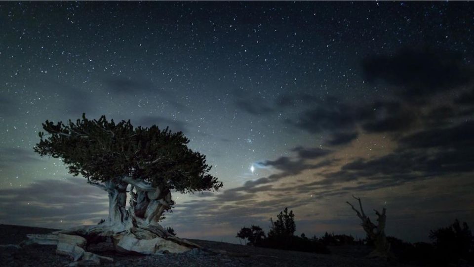 Staying Invisible While Light Painting—The Art of not Being Seen — National  Parks at Night