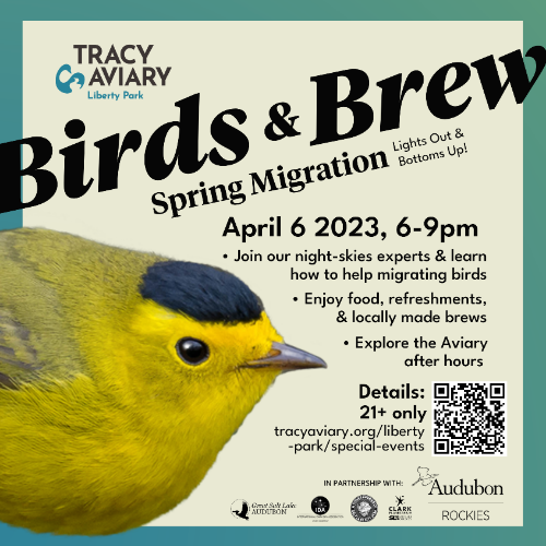 Tracy Aviary’s Birds & Brew Spring Migration flyer