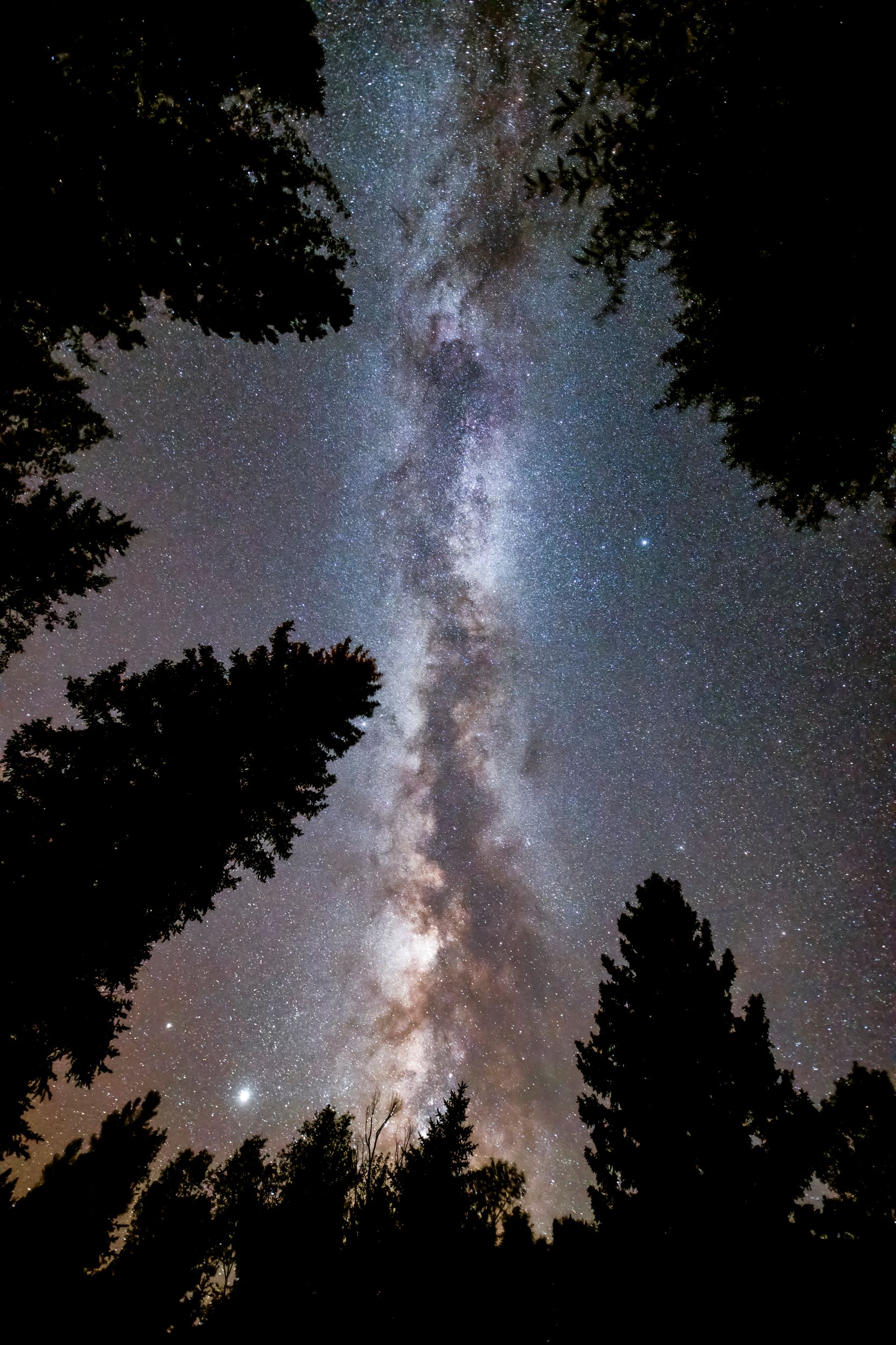 Milky Way over Boulder Mountain, Dixie National Forest