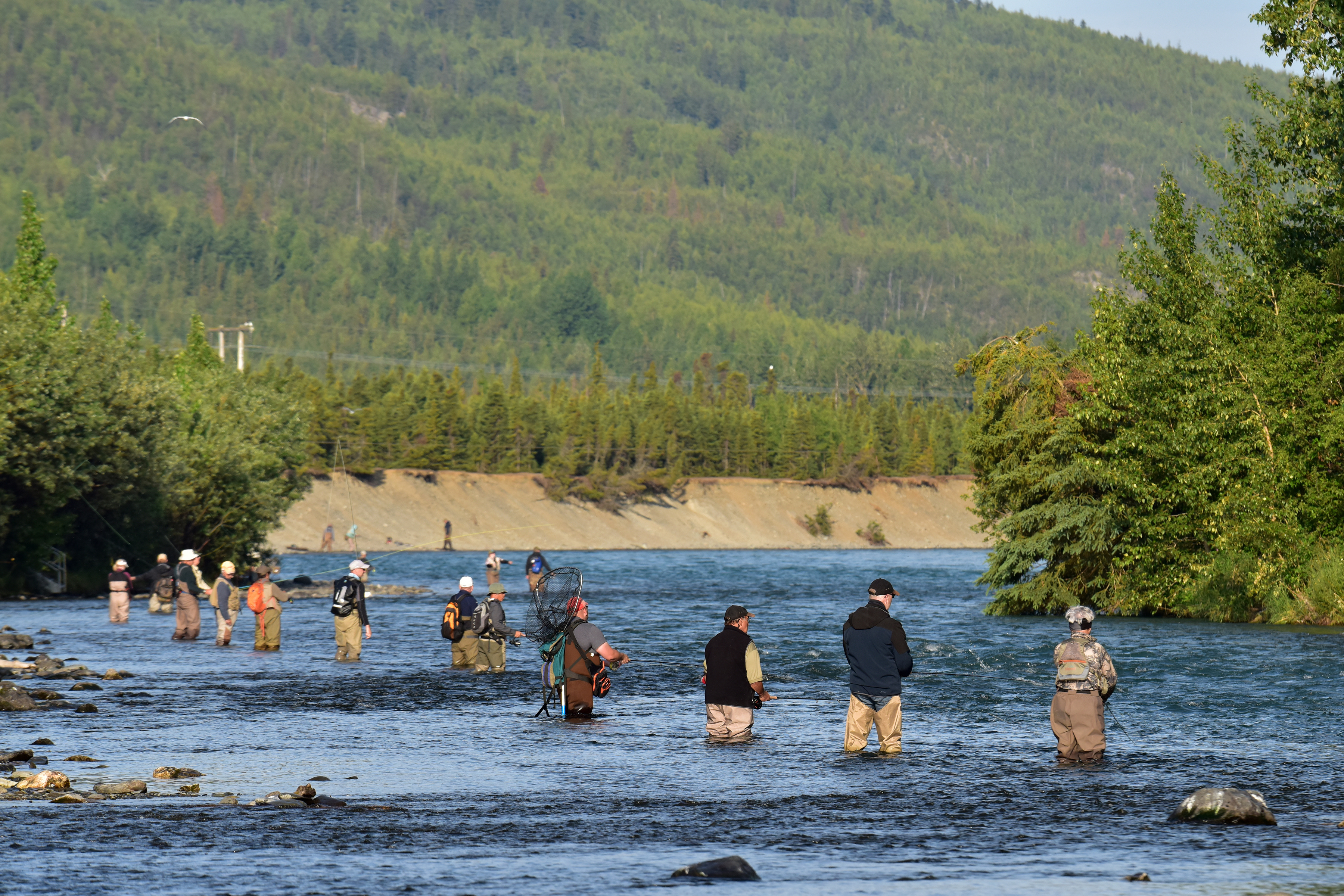 Anglers fish for sockeye salmon (Oncorhynchus nerka) at the confluence of Alaska's Kenai and Russian rivers