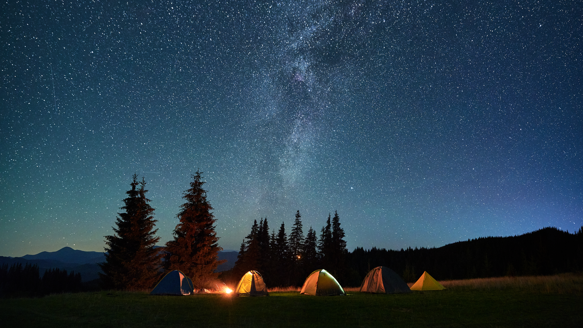 Participants at a dark sky event looking at stars through telescopes