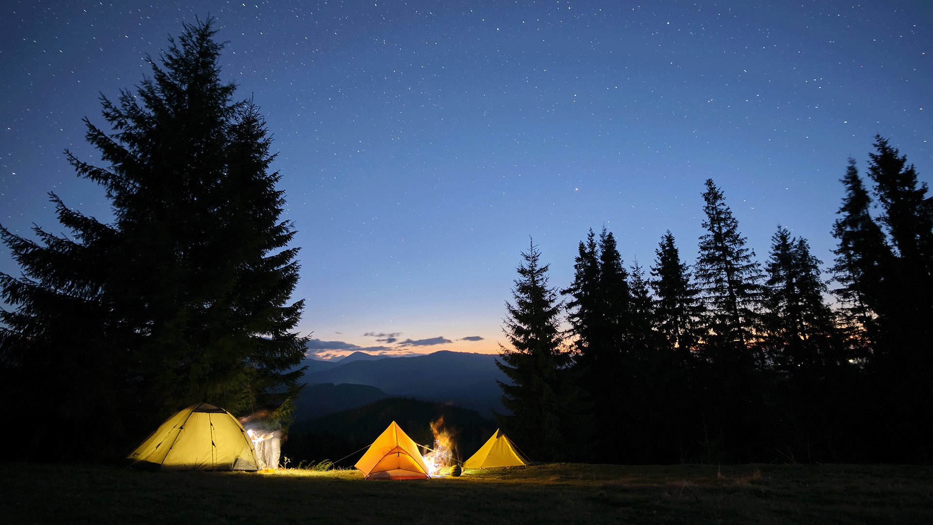 Campground under a dark night sky