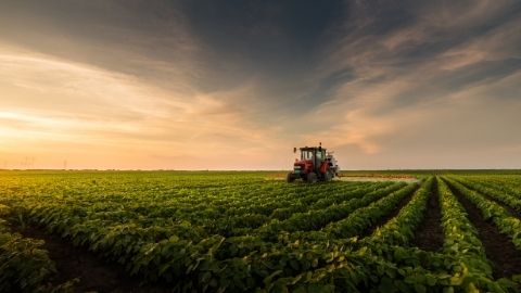 Tractor in field