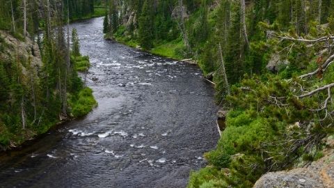 South Fork of the Snake River Boaters and Campers Visitor Survey