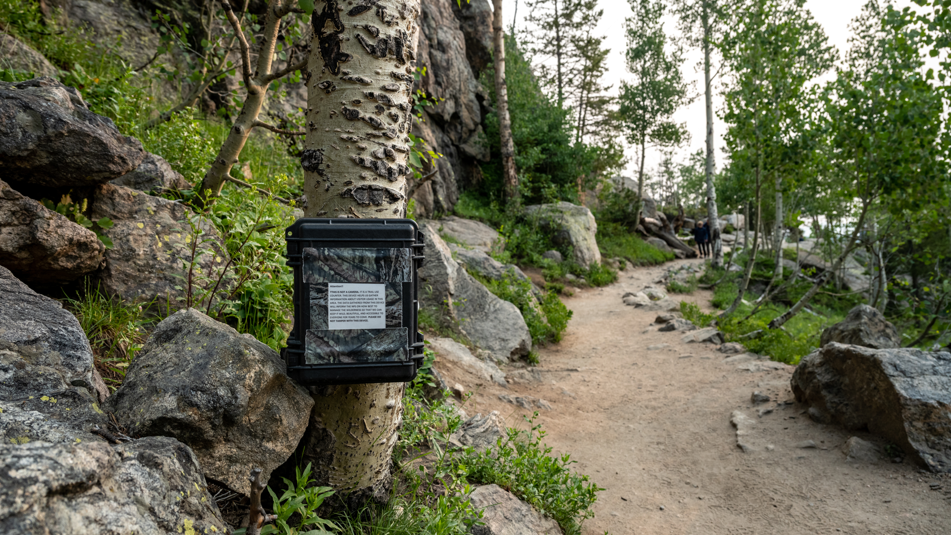 Trail counter and visitors on a public trail used for visitor use monitoring