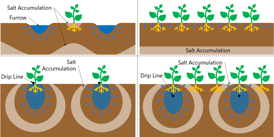 irrigation diagram