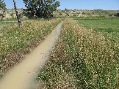 Utah irrigation information
