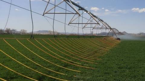 Mobile Drip Irrigation for Pivots and Laterals