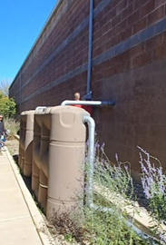 Rain collection barrel in USU Moab