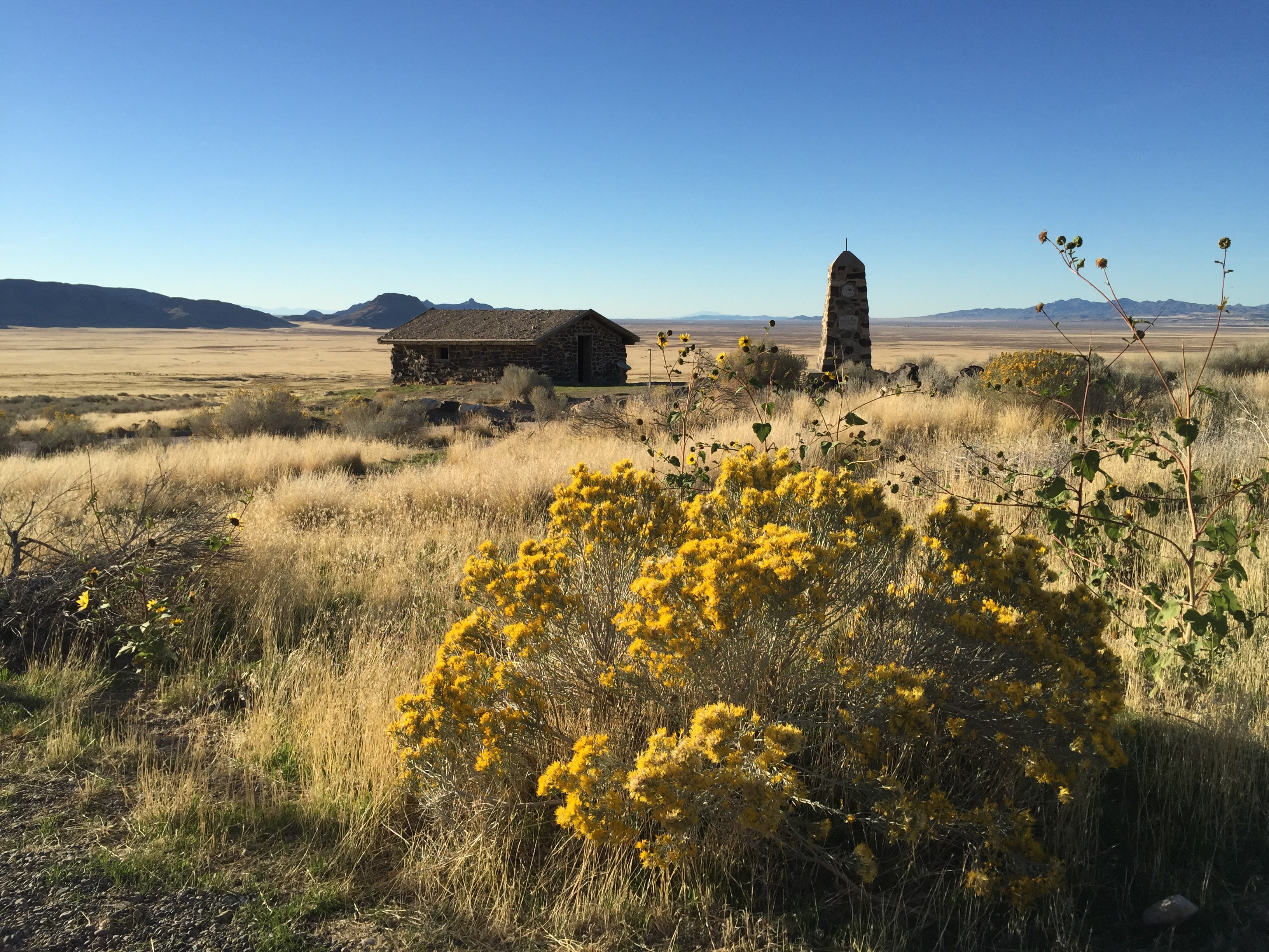 New Faculty Fellow at IORT - Jake Powell