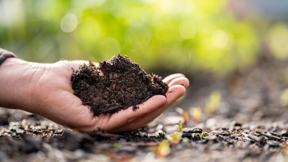 Commercially Available Products to Increase Soil Water-Holding Capacity for Gardens and Landscapes