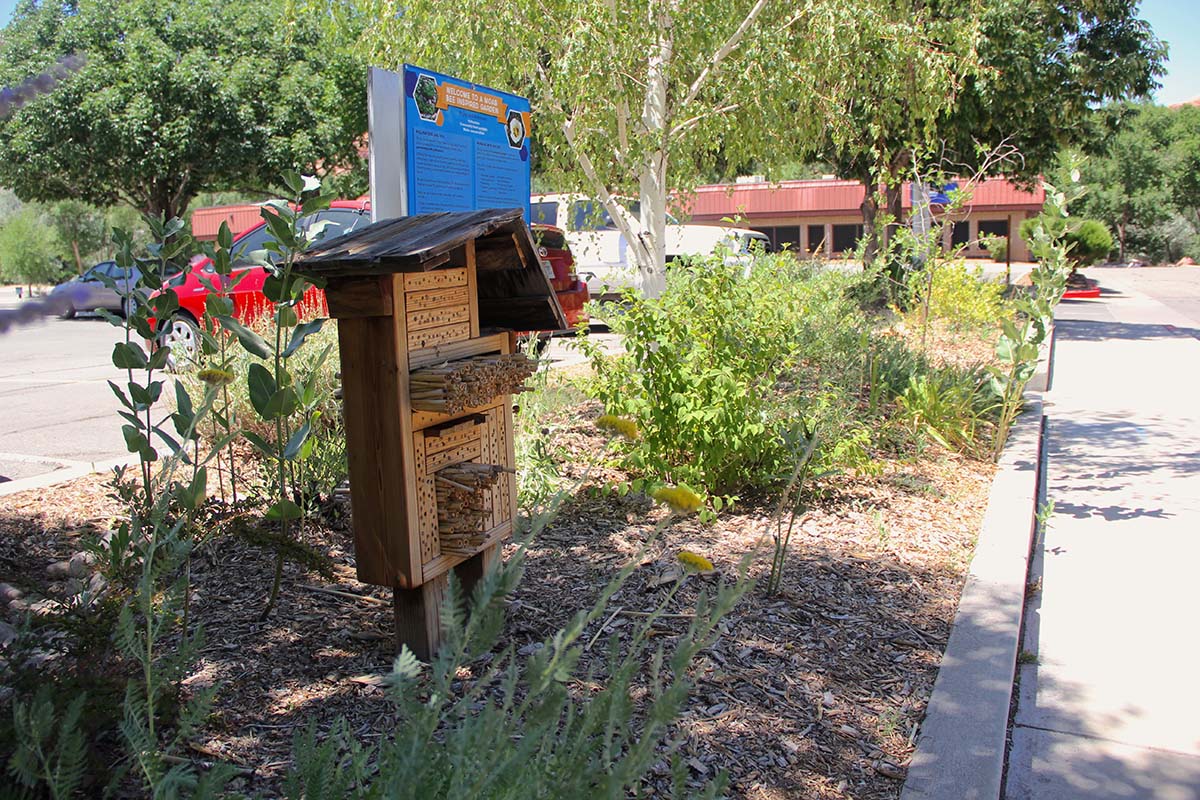 Bee hotel in garden