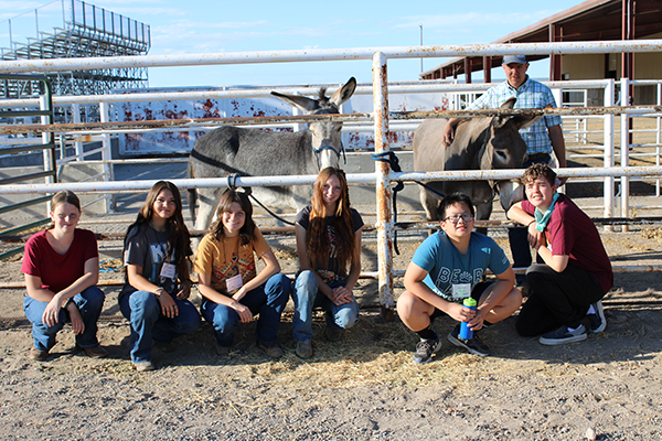 Two mules in a gate with students posing in front