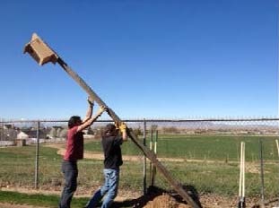 Installation of a kestrel box