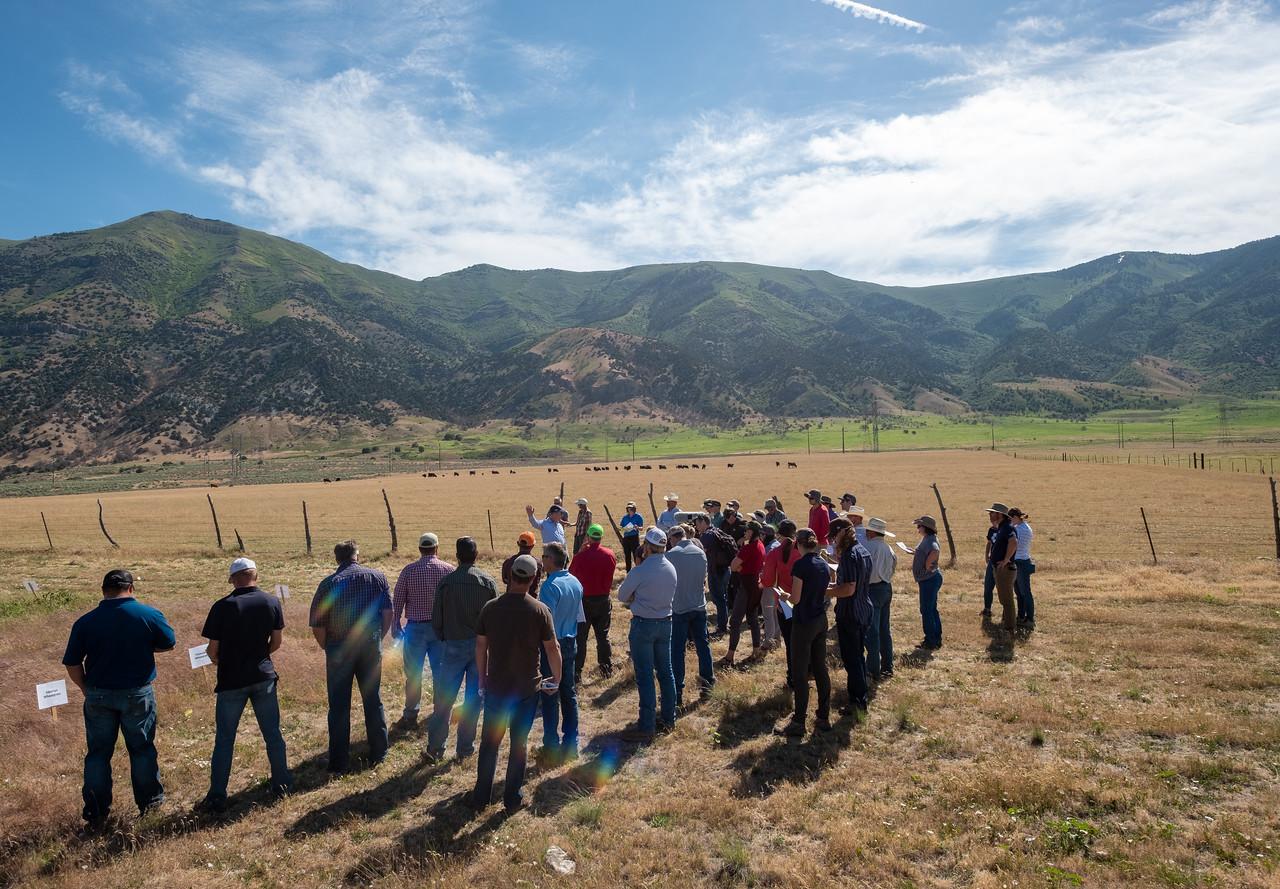 Group of people standing in a field with mountains in the background