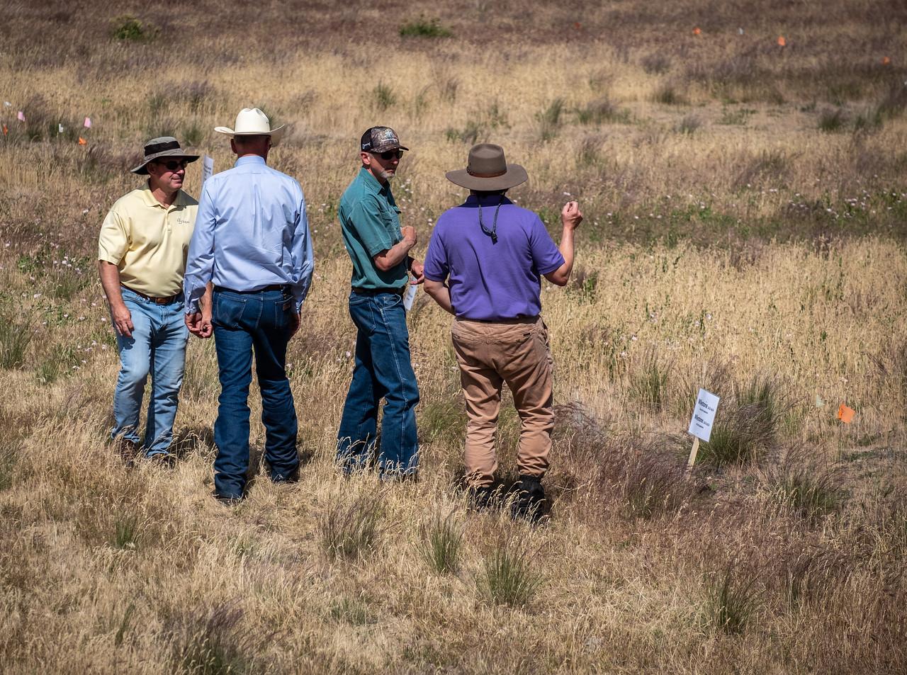 Group of people conversing in a grassy area