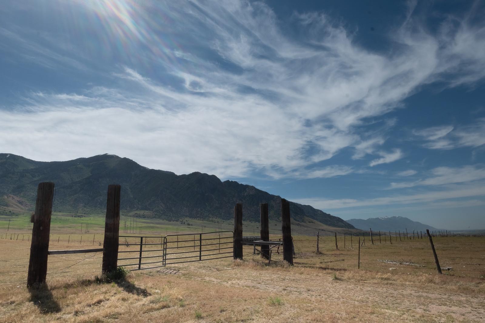 Field with mountains in the background