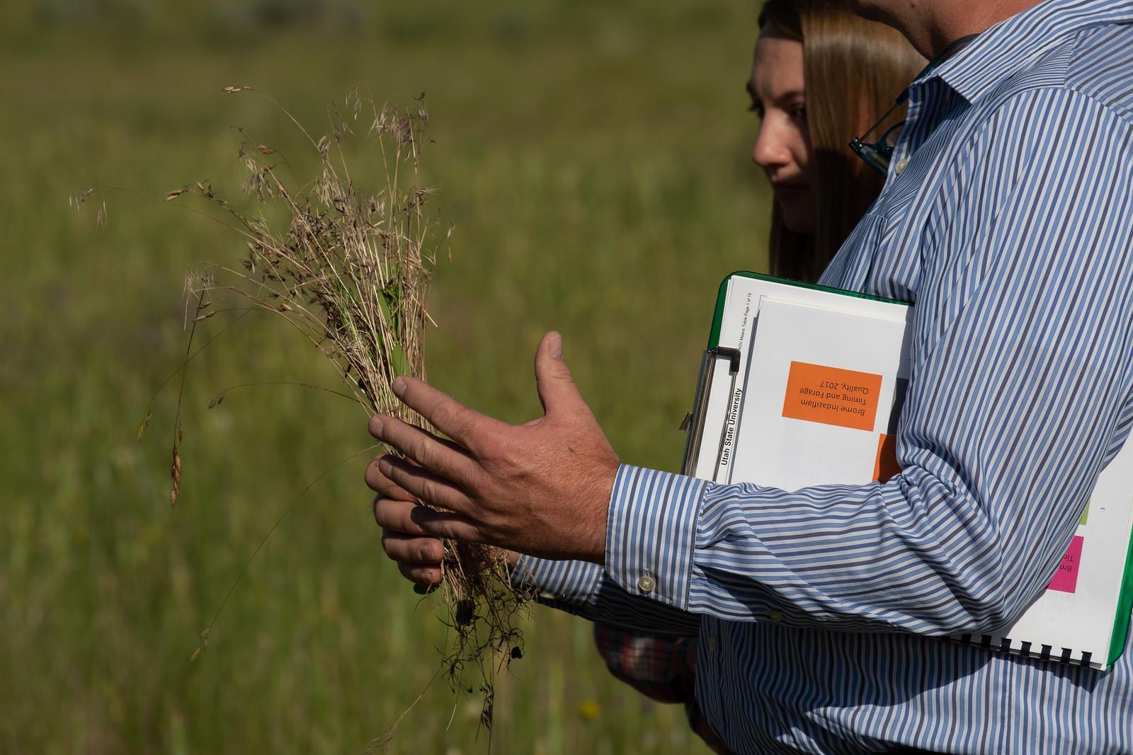 Man holding a sample of grass