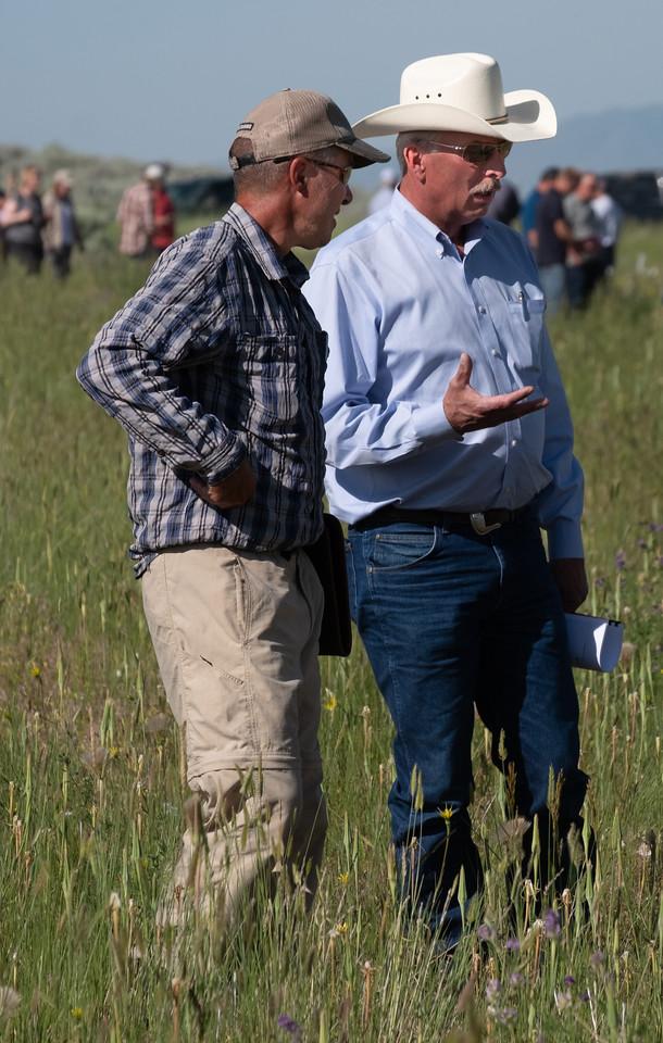 Two men talk in a grassy field